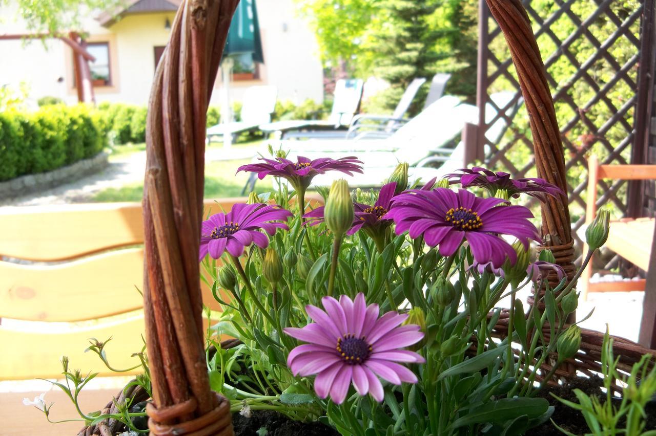 Bed and Breakfast D.L.Blazkiewicz Mielno  Exterior foto